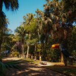 Parque