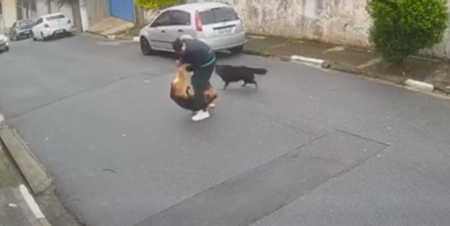 Dois homens são atacados por cães em Diadema e Santo André