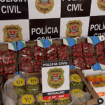 morangos apreendidos