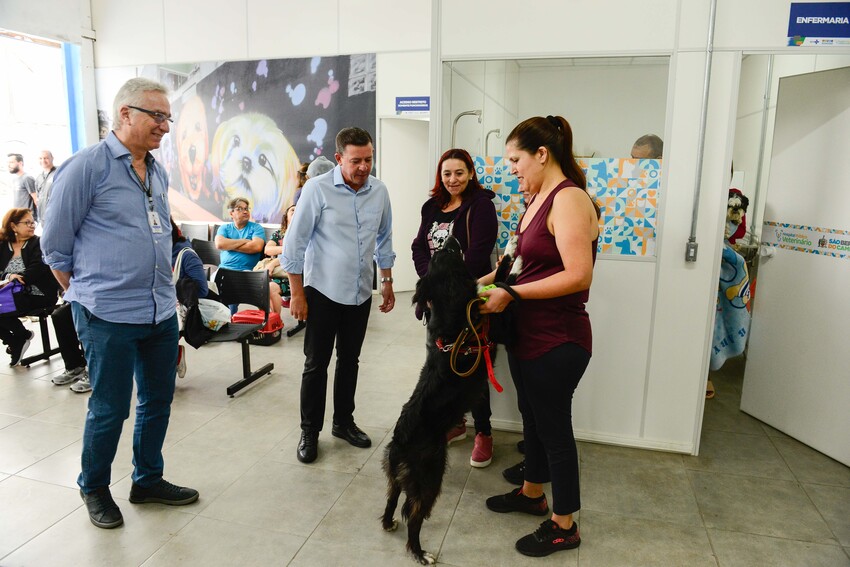 Hospital veterinário de São Bernardo completa um mês com 551 animais atendidos