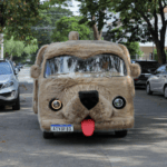 Petcar