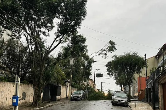 rua oswaldo Cruz 