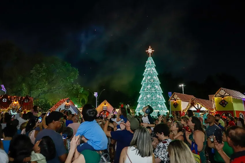 Árvore de Natal