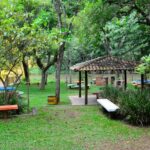 Parque do Pedroso