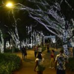 Natal Solidário
