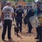 reintegração de posse em Diadema