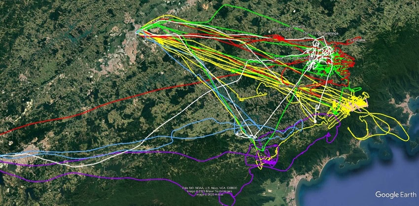mapa de buscas por helicóptero
