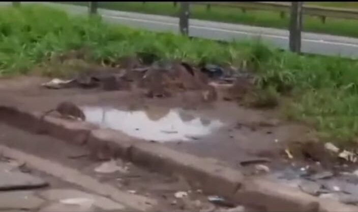 ratos na Anchieta