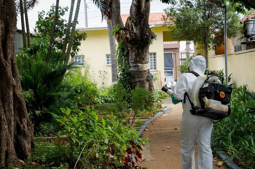Combate a Dengue em São Caetano