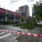 queda de árvore em Santo André.