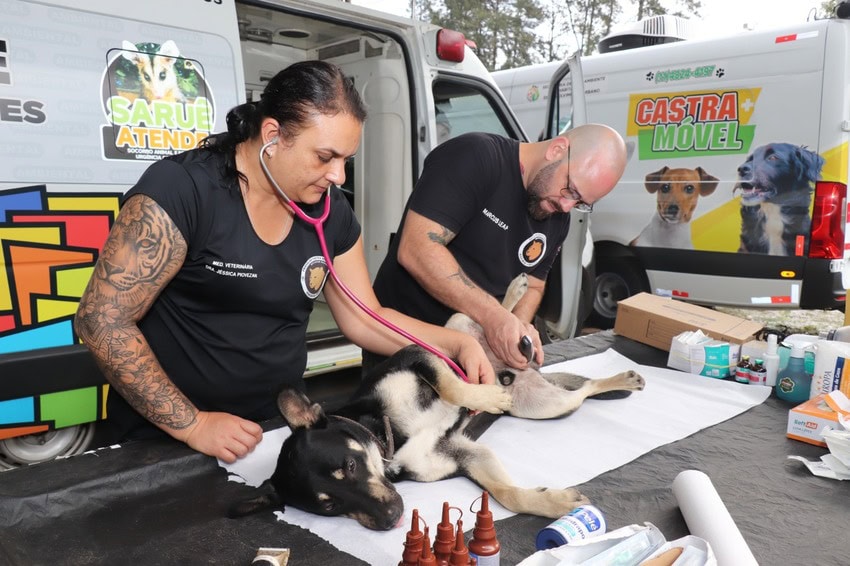 Atendimento veterinário pra cachorro