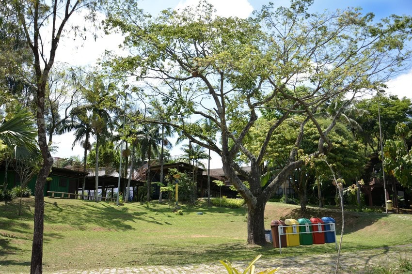 Parque
