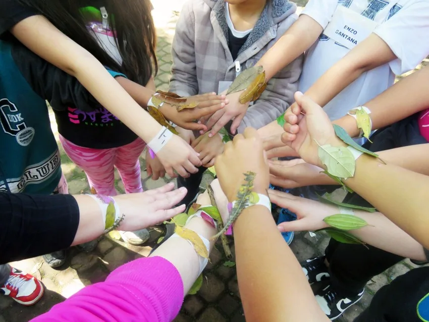 Atividade ambiental