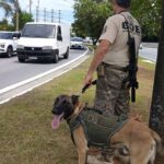 operação em São Caetano