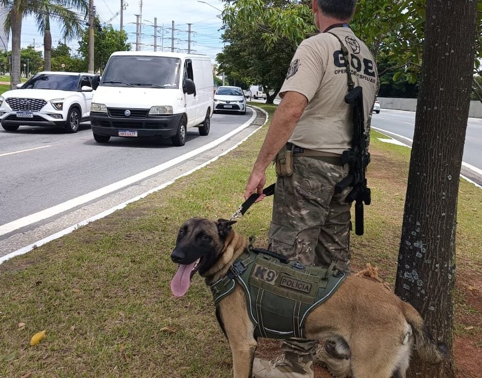 operação em São Caetano
