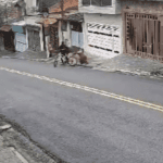idosa caída na rua