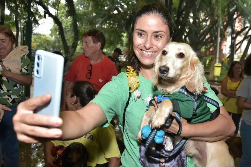 Blocão de Carnaval para pets