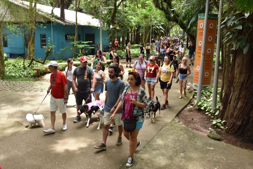 Passeando com cachorro