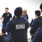 Romu de Ribeirão Pires