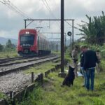 atropelado por trem