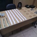 Drogas apreendidas