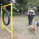 Pet Parque Escola