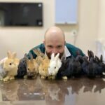 Coelhos