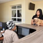 recepção do hospital veterinário