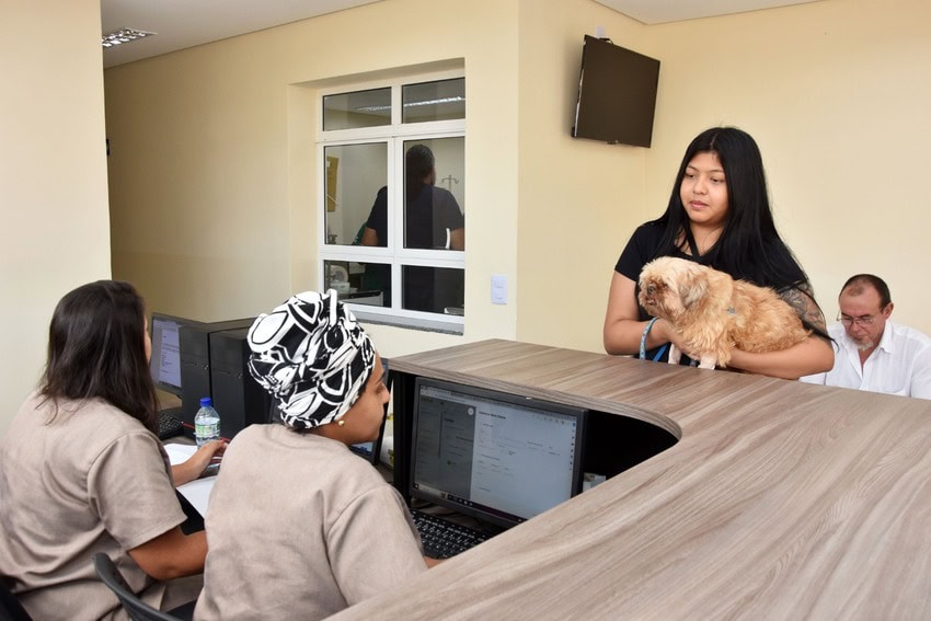 recepção do hospital veterinário