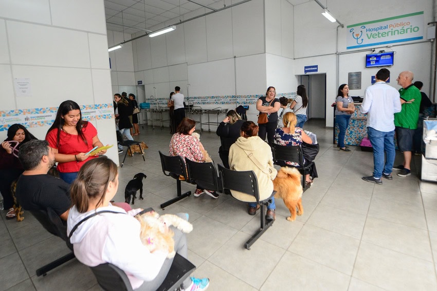 Atendimentos Hospital Veterinário