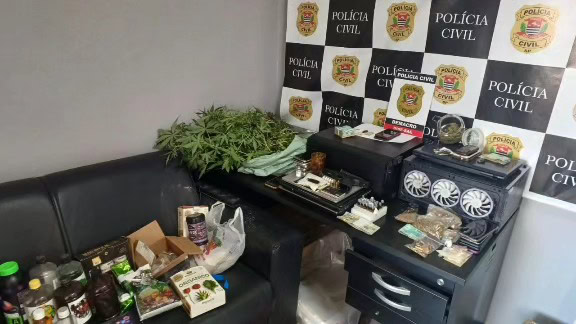 produtos apreendidos