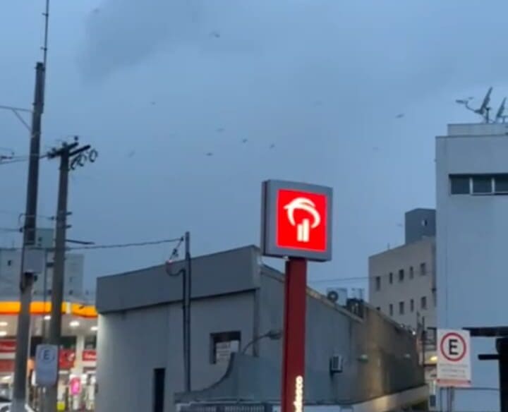 nuvem de mosquitos