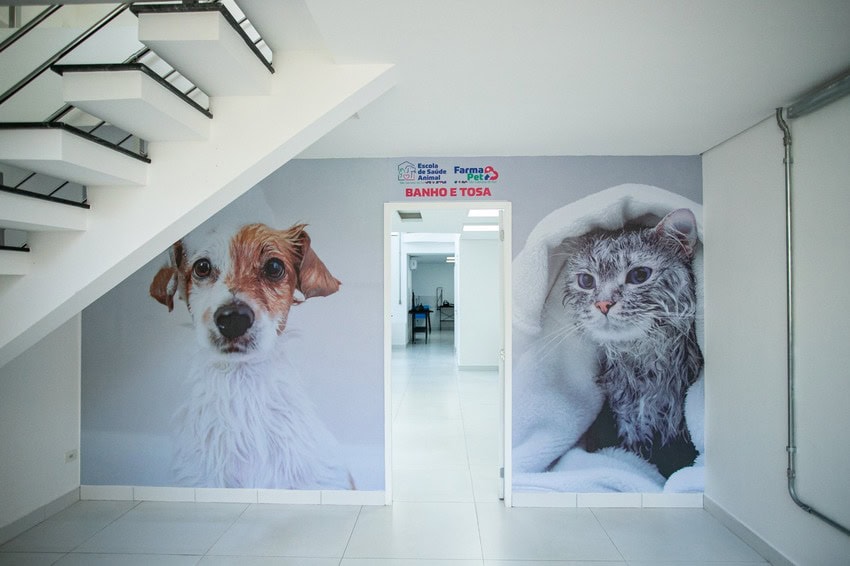 escola de bem-estar animal