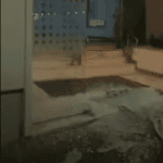 vidros quebrados em banco