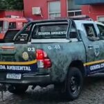viatura GCM ambiental