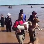 resgate de animais
