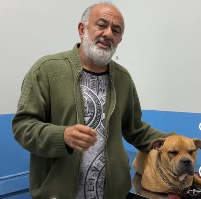 cachorro abandonado