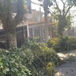 galhos na frente das garagens