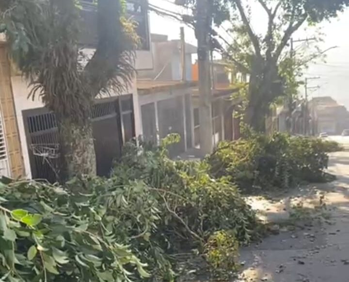 galhos na frente das garagens
