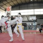 Ribeirão Pires é campeã no 30º Campeonato Paulista de Karatê Shinkyokushin