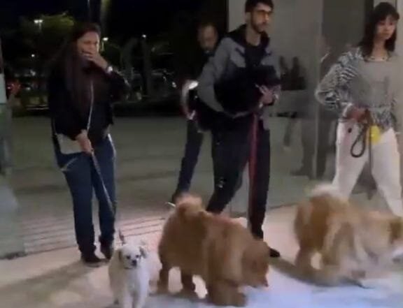 pets no velório de Nahim