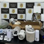 Homem é preso no montanhão por cultivo de maconha em adega