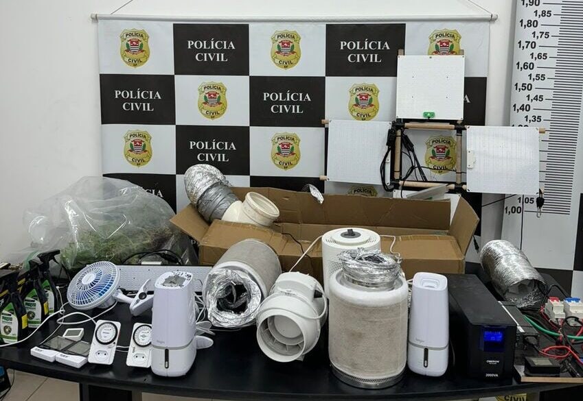 Homem é preso no montanhão por cultivo de maconha em adega