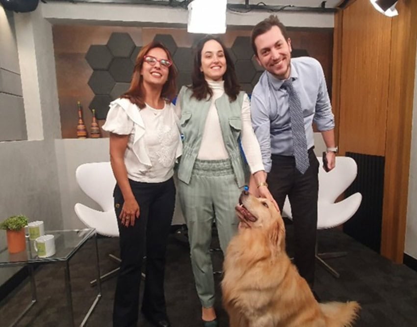 Pets também podem sofrer de ansiedade? Tema é discutido em novo videocast sobre saúde animal