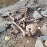 Restos humanos são encontrados na Rodovia Caminho do Mar
