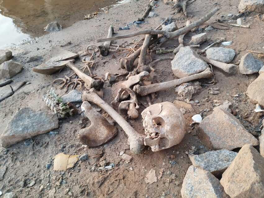 Restos humanos são encontrados na Rodovia Caminho do Mar