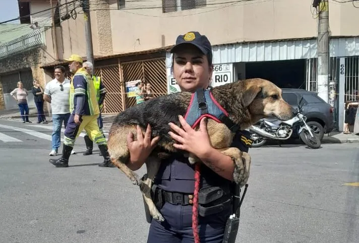 GCM Ana Paula