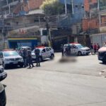 boi sem vida na rua