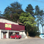 avenida Mico Leão-Dourado
