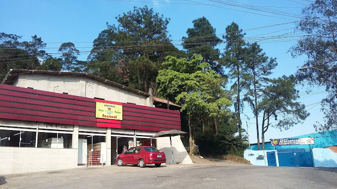 avenida Mico Leão-Dourado